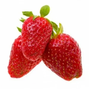 Alexandria Strawberry Plants - 8 Pack - Fragaria - Alpine Variety