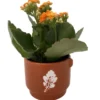 Autumn Leaves Ceramic Planter - Calandiva Succulent Plant - 3 inch Pot - Decorative Planter