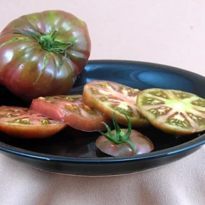 Black Brandywine Tomato Plant - Heirloom Variety - 2.5 inch Pot - Great Flavor