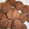 Black Walnut Tree Seeds - 10 Organic Juglans Nigra Premium Seeds for Planting a Nut Garden Sustainable