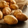 California White Potato - 6 Seed Tubers - Baking & Frying Potatoes
