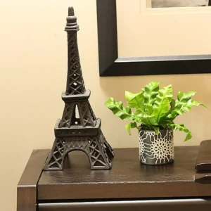 Crispy Wave Fern - 2.5 Inch Potted Asplenium - Clean Air Machine