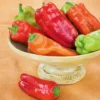 Cubanelle Sweet Pepper Plant 4 inch Pot - Great Frying Pepper