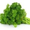 Curly Leaf Parsley Herb - 3" Pot - Fresh Culinary Herb - Easy to Grow