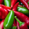 Fooled You Jalapeno Plant - Mild Pepper - 2.5 Inch Pot - Great Flavor