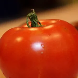 Fourth of July Tomato Plant 4 inch Pot - Early Ripening Variety