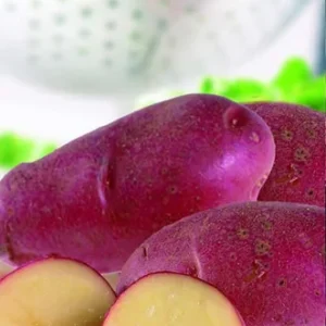 French Fingerling Potato 6 Tubers - Heirloom Seed Potatoes