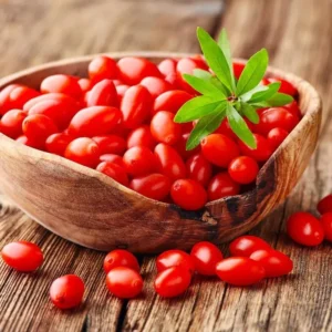 Goji Berry Plant - 3 Red Goji Berry Plants - Live Berry Fruit Tree - Easy to Grow