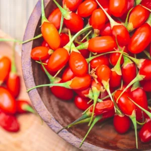 Goji Berry Plant - 3 Red Goji Berry Plants - Live Berry Fruit Tree - Easy to Grow