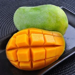 Grafted Ice Cream Mango Tree - Sweet Mango Fruit Tree - 3 Gallon Potted
