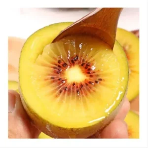 Hardy Kiwi Tree - Yellow Kiwi Plant 6-14