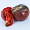 Heirloom Cherokee Purple Tomato Plant - 2.5" Pot - Great Taste and Yields