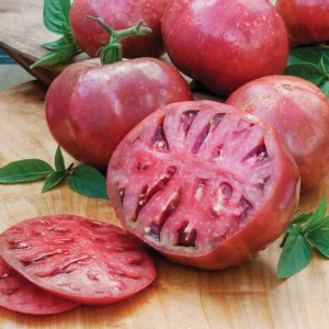 Heirloom Cherokee Purple Tomato Plant - 2.5