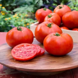 Heirloom Tomato Plants Live - 2 Pack, 4-8 Inch, Ready to Plant