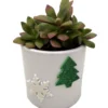 Holiday Cheer Succulent Planter 3" White Ceramic Pot Easy House Plant