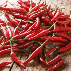 Hot Cayenne Long & Thin Pepper Plants - Set of 2 Chilli Pepper Seedlings 4-6 Inch Tall