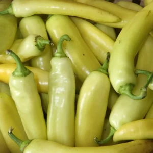 Hungarian Hot Yellow Wax Pepper Plant 2.5" Pot - Spicy Pickling Pepper Plants