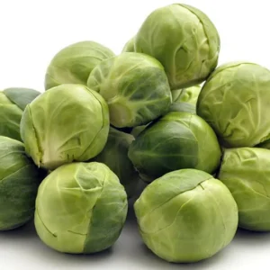 Jade Cross Brussels Sprouts Plant 2.5