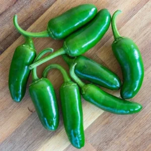 Jalapeno Pepper Plants Set - 2 Chili Pepper Seedlings 4-6 Inch Tall
