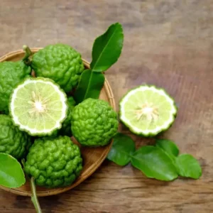 Kaffir Lime Plants - Kaffir Lime Citrus Fruit Plants-Lemon Tree- 2 Live Seedlings - 2-3 Inches - Healthy Citrus