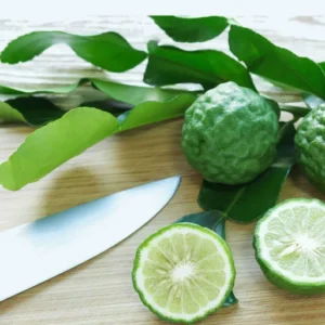 Kaffir Lime Tree - Fruit Bearing Size Plant - 5