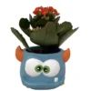 Kalanchoe Succulent Plant in Blue Mini Monster Ceramic Planter - 3 inch Pot Halloween Decor