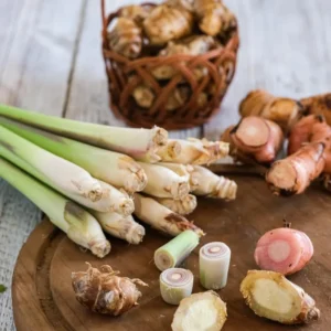 Lemon Grass Live Plants - 10 Rooted Stalks for Indoor & Outdoor Planting