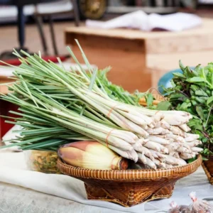 Lemon Grass Live Plants - 10 Rooted Stalks for Indoor & Outdoor Planting