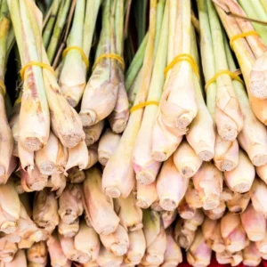 Lemon Grass Live Plants - 5 Rooted Stalks for Indoor & Outdoor Planting