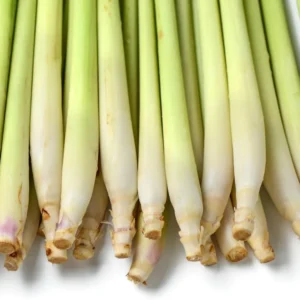 Live Lemon Grass Plants - 10 Rooted Stalks for Planting - Herb Garden Starter