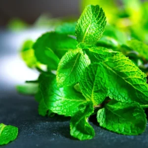 Live Peppermint Mint Plant - Fresh Herb - Indoor & Outdoor Use