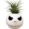 Mr. Bones Ceramic Planter with Live Air Plant - Tillandsia Included