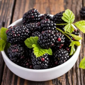 Navaho Thornless Blackberry Plant - Live Bushes 5-8 Inches - Fruit Trees