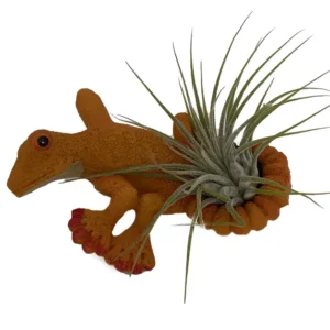 Orange Lizard Ceramic Hanging Ornament with Air Plant Cute Hanging Planter Decor