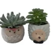 Owl Hedgehog Ceramic Planters with Succulents 3 inch Pots