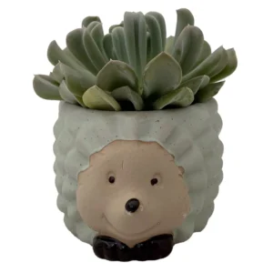 Owl Hedgehog Ceramic Planters with Succulents 3 inch Pots