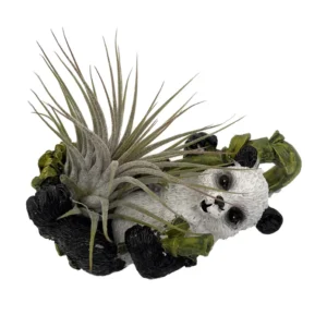 Panda Ceramic Hanging Ornament with Air Plant Cute Hanging Decor