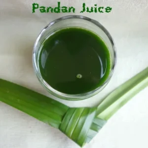 Pandan Spice Plant - Live Amaryllifolius pandanus - 2.5