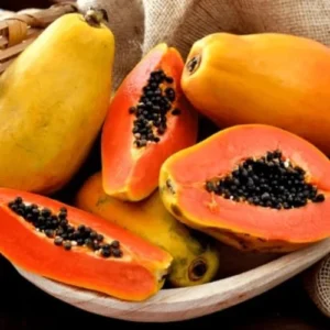 Papaya Tree Live Plant - 12-14 Inch Outdoor Papaya Plant