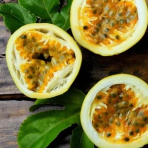 Passionfruit Vine Plant - Live Yellow Passion Fruit Tree - 5-8 Inch Outdoor Plant
