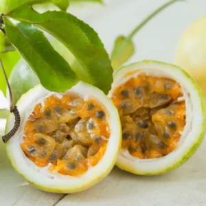 Passionfruit Vine Plant - Live Yellow Passion Fruit Tree - 5-8 Inch Outdoor Plant