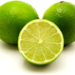Persian Lime Tree - Live Fruit Tree - 2 to 3 Ft - Green Citrus Plant