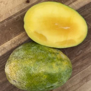 Pineapple Pleasure Mango Tree - Grafted Tropical Fruit Tree - 3 Gallon Pot