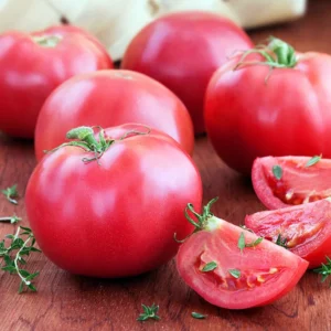 Pink Lady Tomato Plant - 4 Inch Pot - Juicy Mild Tomato