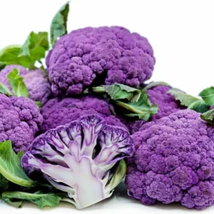 Purple Cauliflower Plant - 2.5