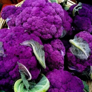 Purple Cauliflower Plant - 4 Inch Pot - Edible Vegetable - Unique Color