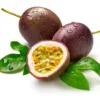 Purple Passion Fruit Starter Plant - Live Possum Passiflora Edulis - Self-Fertile Vine