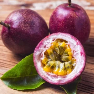 Purple Passionfruit Plant