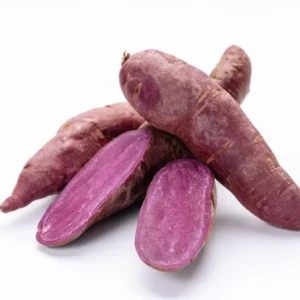 Purple Sweet Potato Vine Plants - 3 Potted Live Plants - High Yield Vegetable