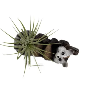 Red Panda Ceramic Air Plant Hanging Ornament - Cute Animal Decor